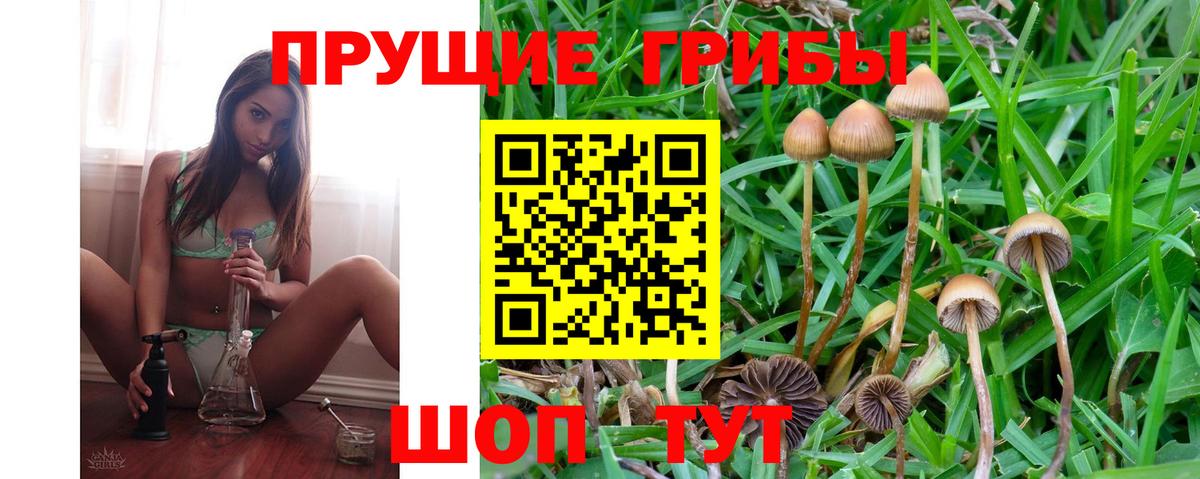 Псилоцибиновые грибы MAGIC MUSHROOMS Сосновый Бор