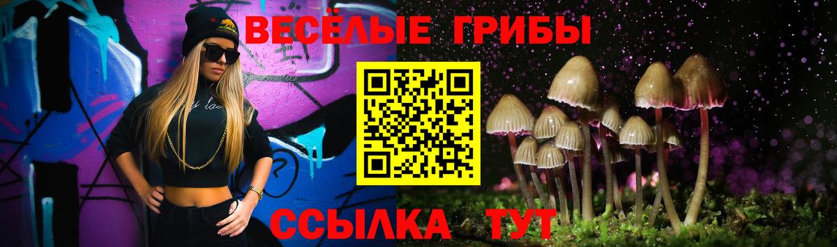 Сосновый Бор  Псилоцибиновые грибы Cubensis  Псилоцибиновые грибы ЛСД  Вход с VPN 